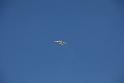 pianezza2009 372